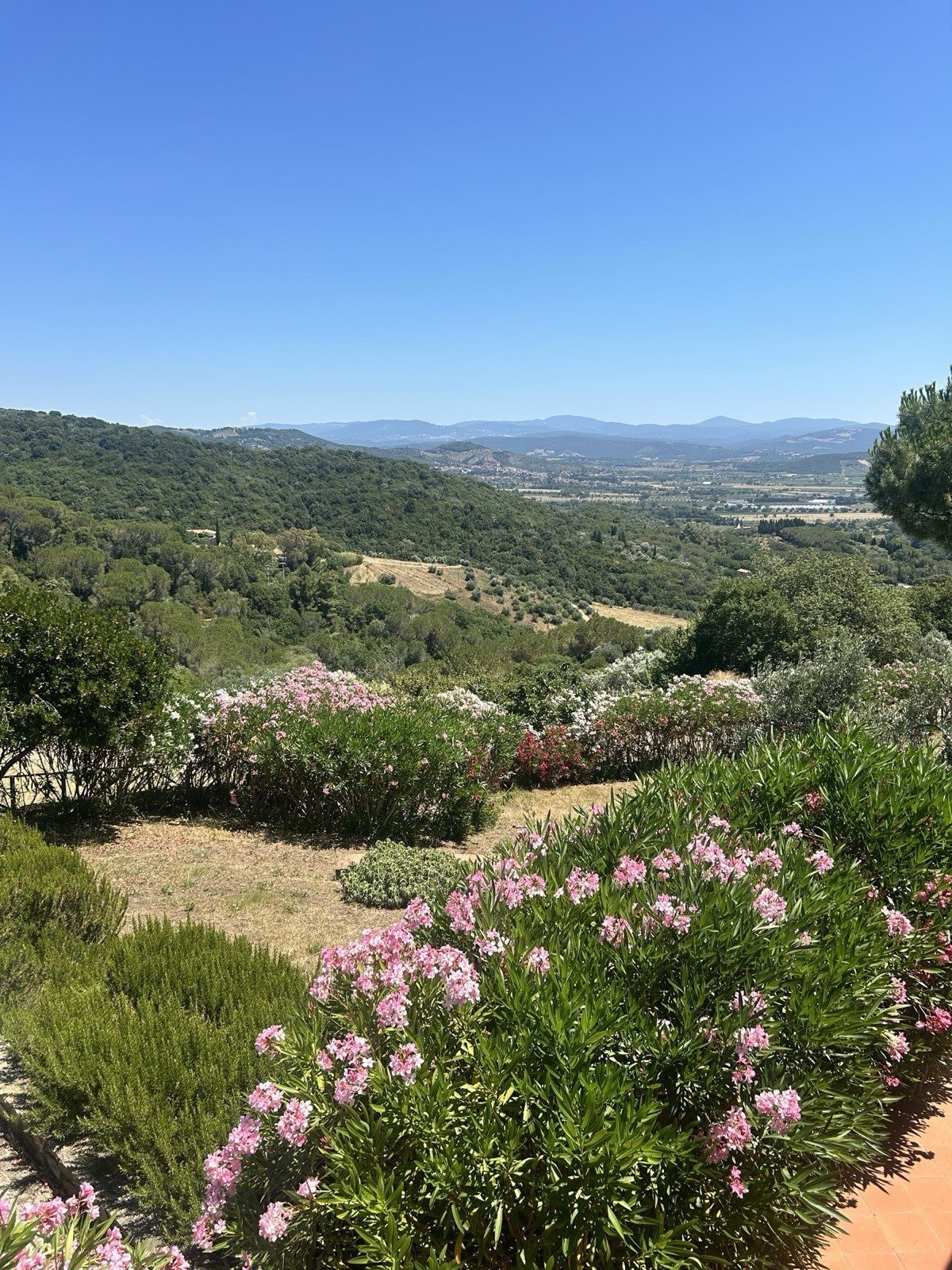 La terrazza di Villa Giani, tra gli oleandri, con vista sulle colline toscane e il mare all'orizzonte