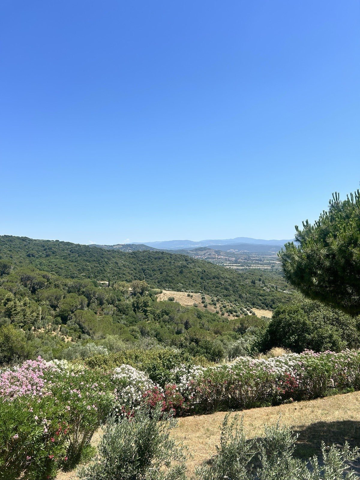 Il panorama sulle colline verso il mare