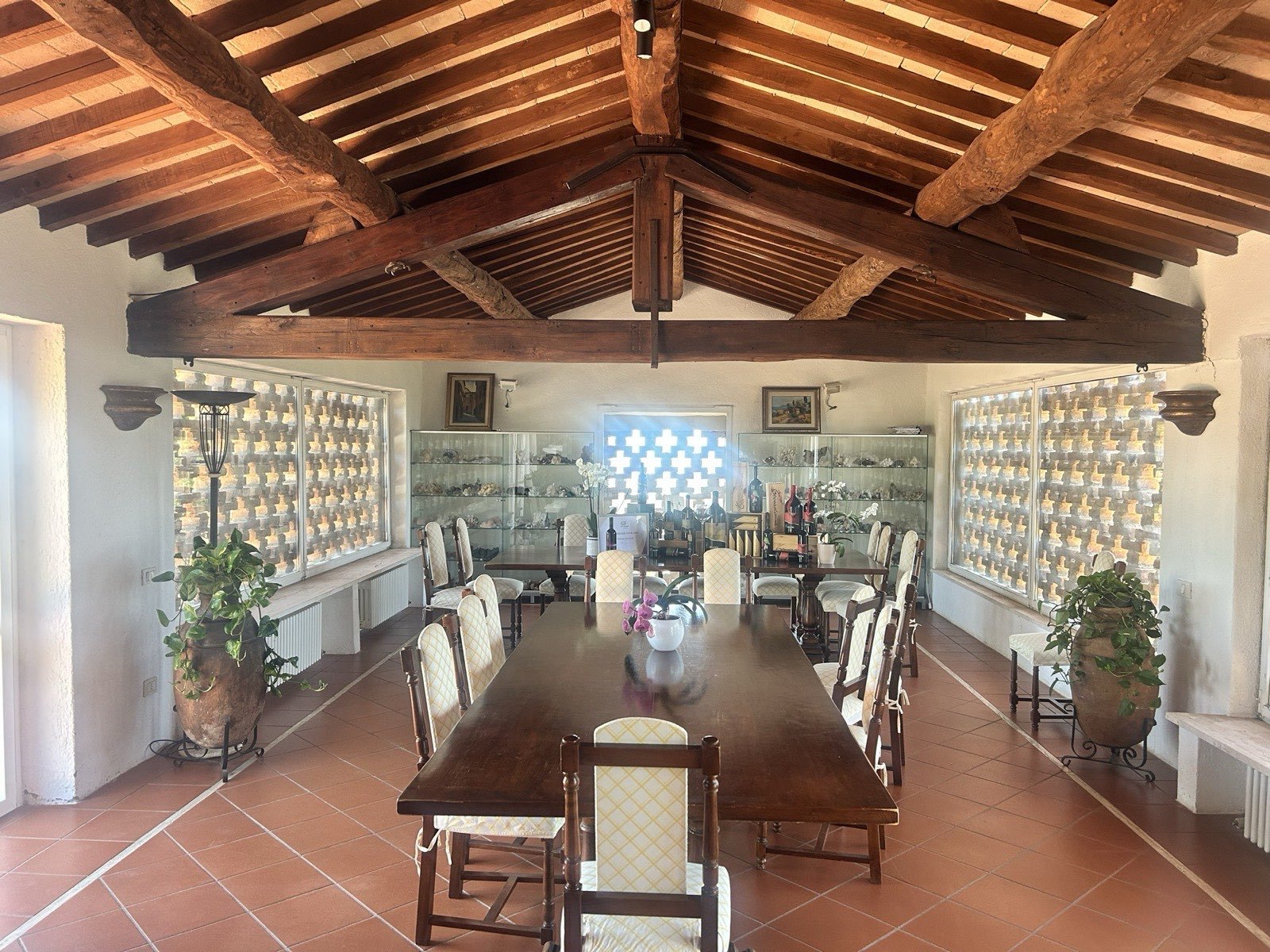 La sala delle degustazioni a Villa Giani, con le travi di legno e le vetrine dei minerali