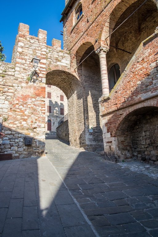 I nostri vigneti nella campagna di Suvereto